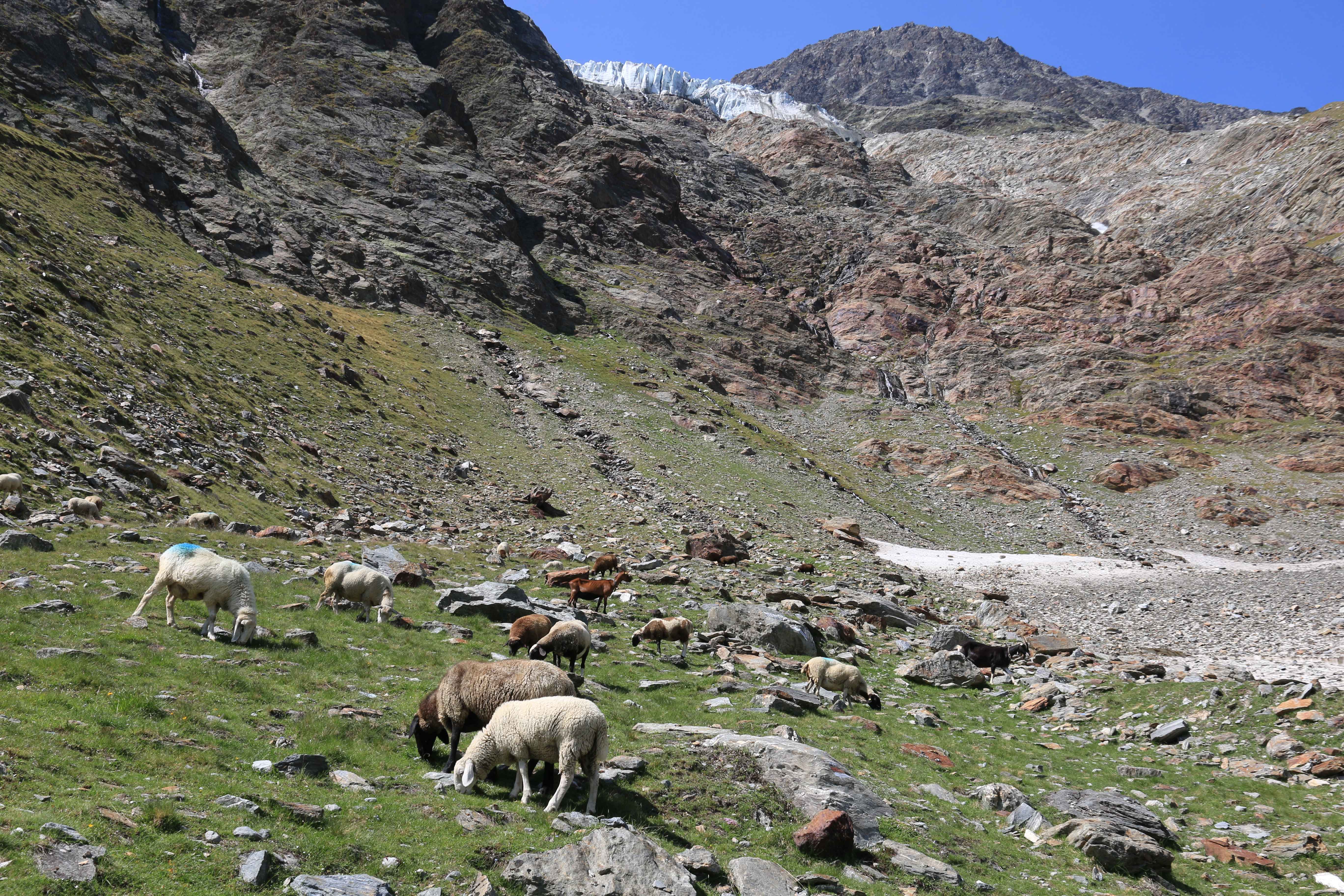 Saas-Fee